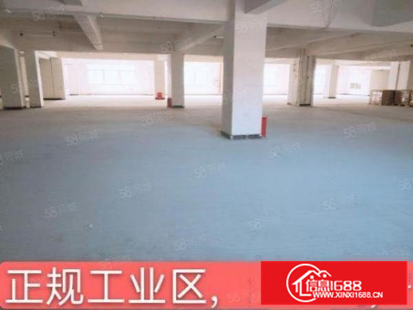 出租东坑红本厂房2万平大小分租配4台3吨货梯周边无居民