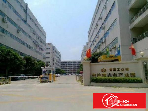 （3 1格局带装修出租）