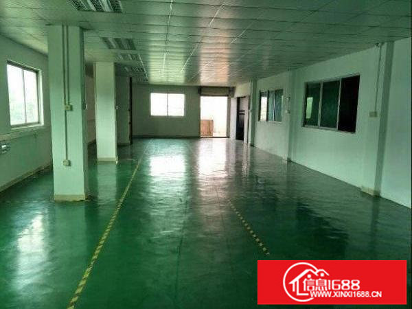 松岗东方招租一楼厂房800平，有红本，电按需配
