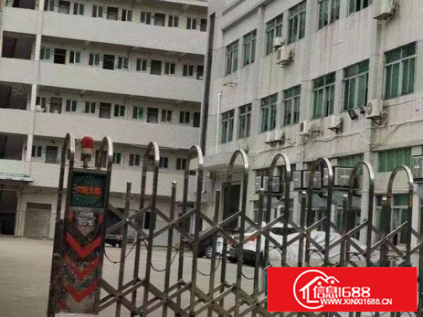 石排标准厂房分租2楼580方出租，精装办公室，现成水电！