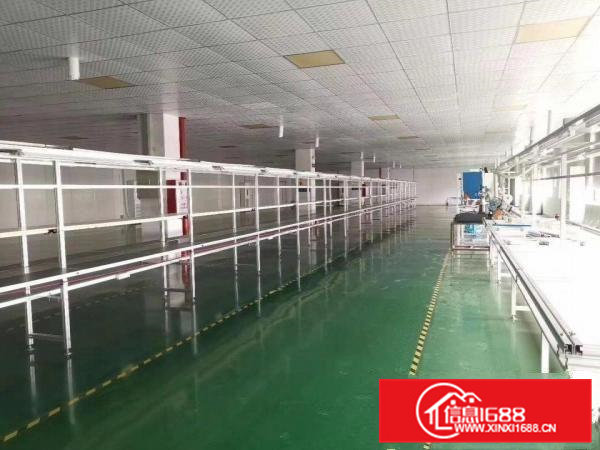 大岭山镇金桔村空出精装修标准4楼约2200平方