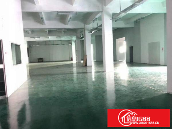 平湖新出原房东独院厂房一楼整层1200平方，带现成装修