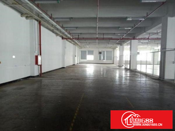 新四标准厂房一楼900平米出租办公室装修空地大