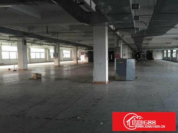 常平桥沥标准厂房二楼面积1100平现火热招租中