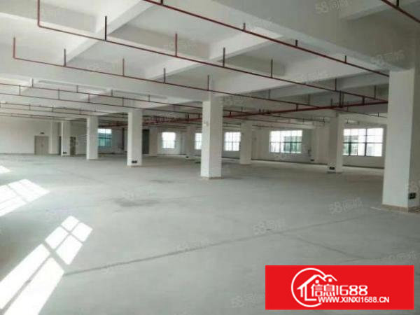 横沥新出标准单一层6.5米高独院厂房2500出租，可分租