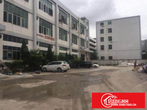 松岗燕山大道附近村委厂房一楼1500平方