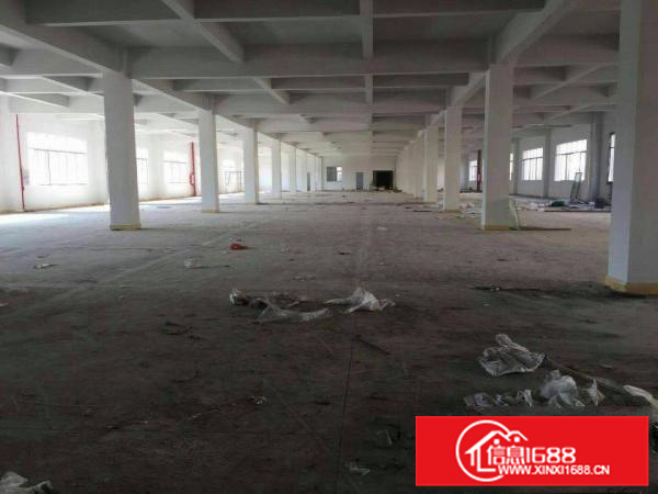 仲恺独院60000平米全新厂房，可分租