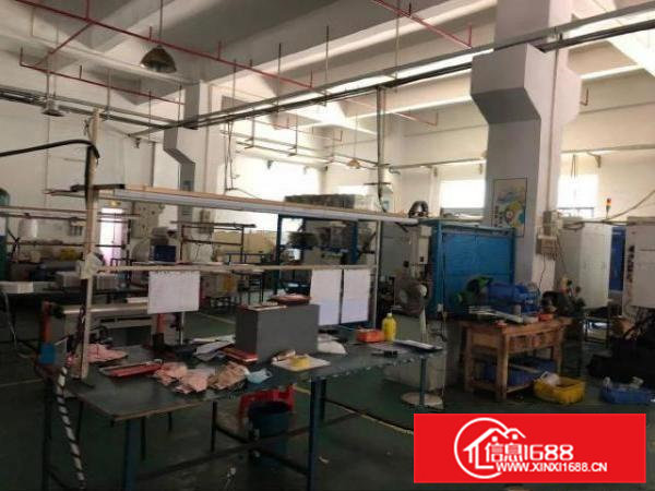 凤岗官井头嘉辉对面一楼标准厂房出租高6米带牛角