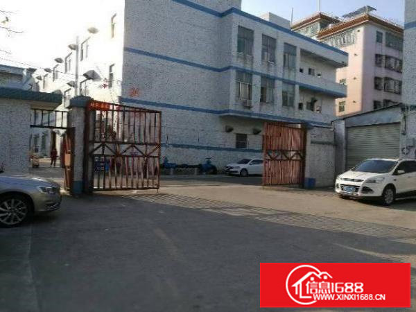 出租龙岗区龙东标准一楼厂房900平方带牛角