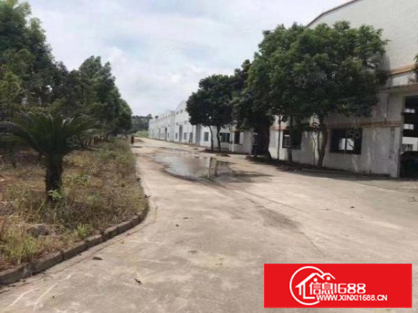 南海区狮山原房东独门独院单一层高速路口30000方厂房出租