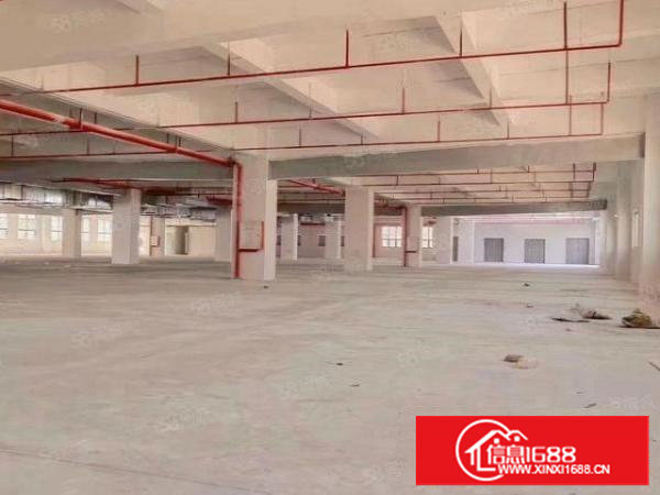 原房东新建厂房，看中价格好商量。