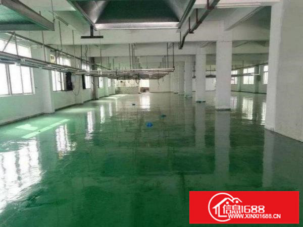 出租龙岗区同乐带全新豪华装修;标准2000平