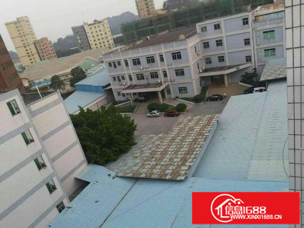 出租茶山镇独院26840平方三层厂房