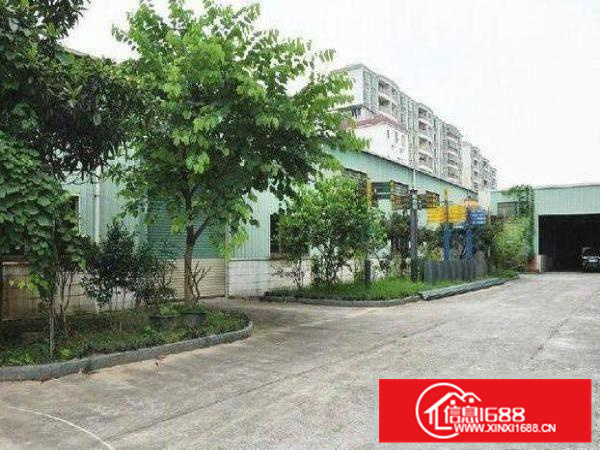 惠阳新墟东城光明新出经典小独院单一层800平方整租,租金便宜