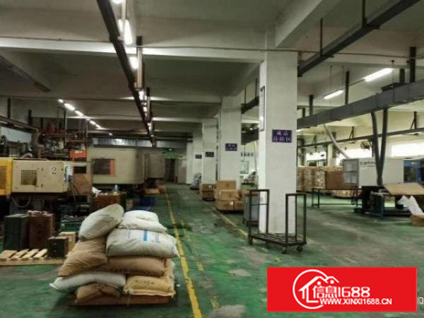 樟木头花园式独院厂房