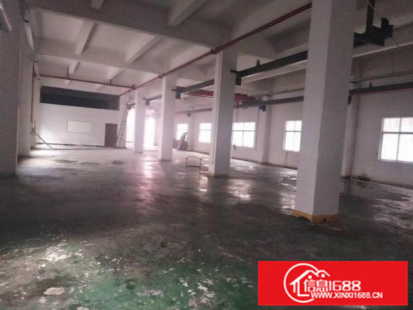 出租布吉慢城新出标准厂房一楼带行车1200平方精装修办公室