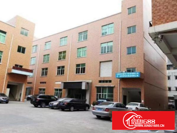 茶山茶山村11000平方出租