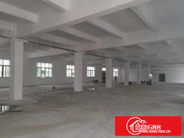 坑梓秀新新出9750平米独院厂房出租（可分租）