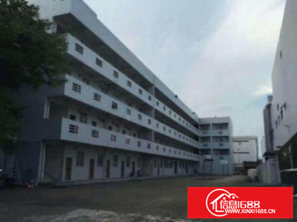 高埗标准厂房一楼1500平方出租适合仓库贸易空地大