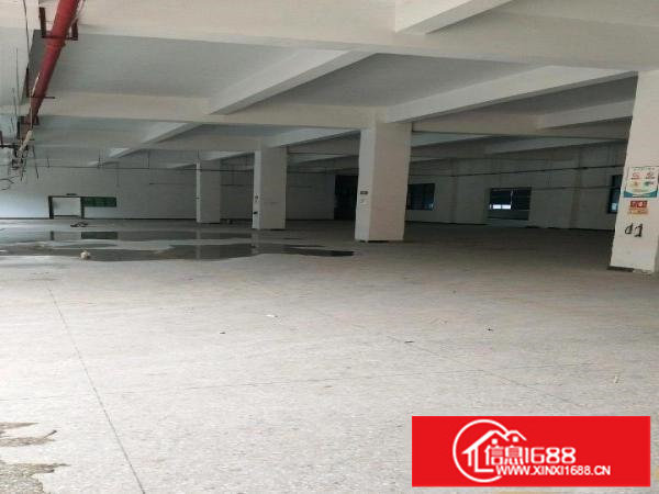 龙岗中心城同乐独院厂房出租6200平米可分租