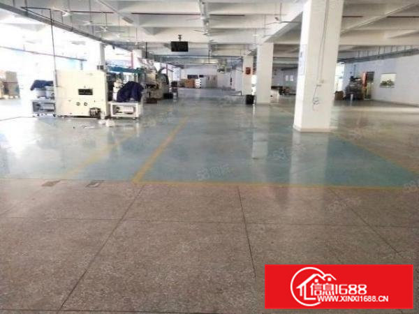 横沥镇村尾村新出原房东5000平精装修独院厂房可办环评好招工