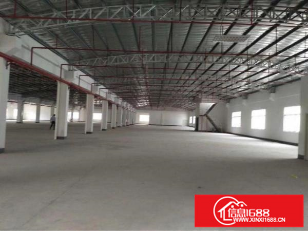 新圩新出钢构加标准厂房21690平，带现成办公室