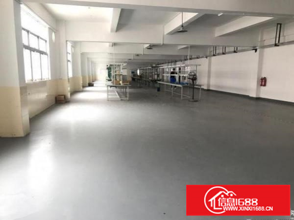 横岗地铁站电商办公室仓库280平方出租