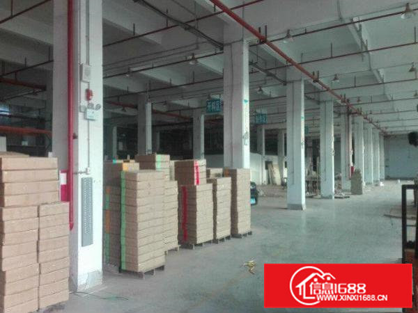 凤岗金凤凰标准厂房一楼5500平米出租6米高