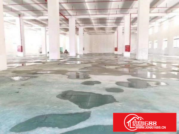 高新产业园新建整栋厂房出租，15600方，可分租，靠近广州