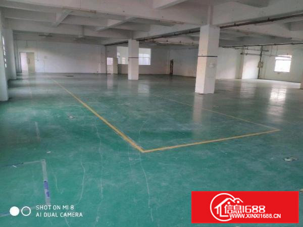 桥头镇中心标准独院招租