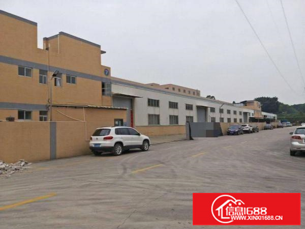 狮山兴业路2000平方独院厂房，可装吊机，隔热瓦顶，形象好