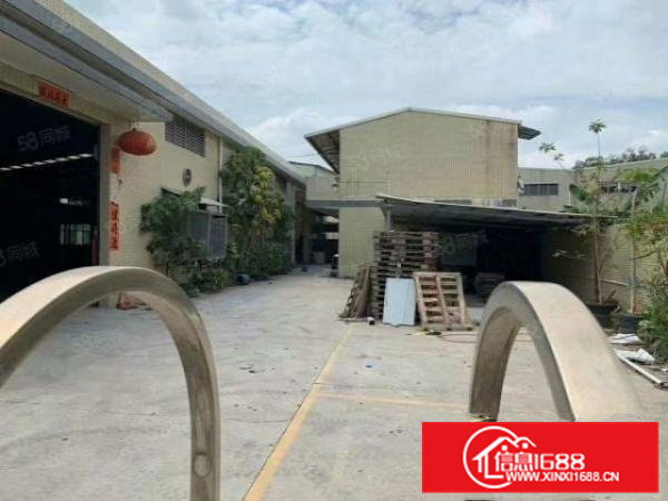 桥头镇原房东！单一层独门独院！厂房出租1600平方，水电齐全