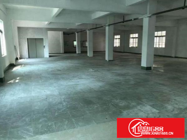 横岗荷坳原房东独院标准厂房整栋3195平米出租