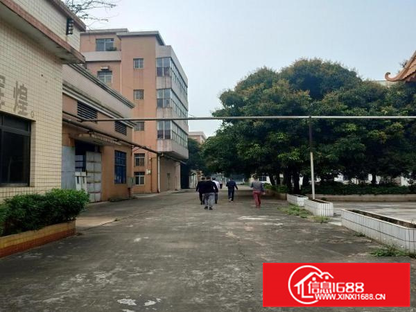 勒流独门独院厂房红本火爆招租