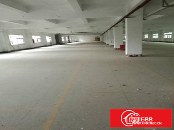 横岗安良新出独院1楼700平厂房出租