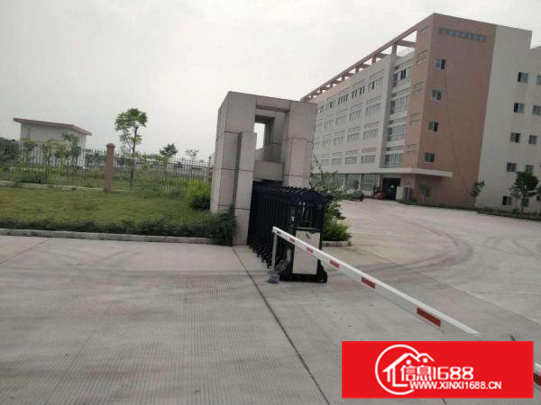 桥头镇带红本厂房每层2700平方分租