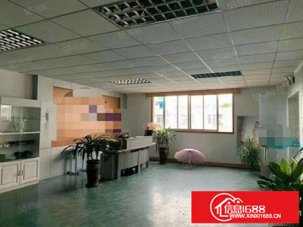 清溪三中原房东独院厂房分租二楼950平方现成装修办公室地坪漆