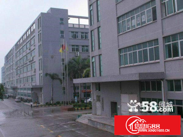 坂田高新科技园新出3楼4楼每层3000平方刚刚招租