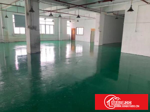 宝安南头关厂房低价招商