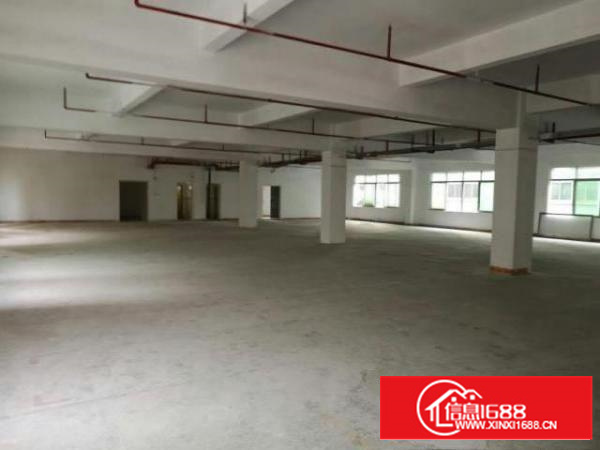 万江周边厂房招租5000平方水电齐全有绿化厂房空地大可办环评