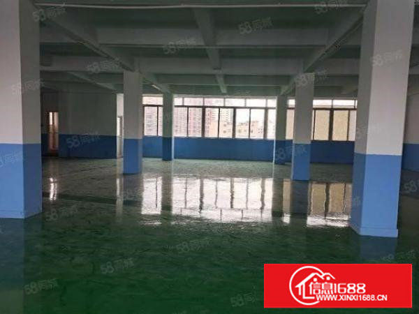 塘厦莲湖独院标准3楼590平方！现成地坪漆办公室装修