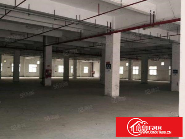 布吉东西干道边标准厂房一楼出租，布吉康桥空地大200平起分