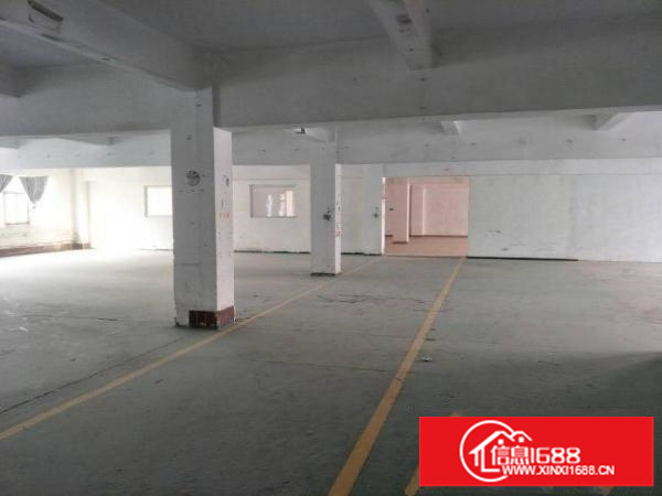 布吉李朗独栋厂房5000平方可分500平米起