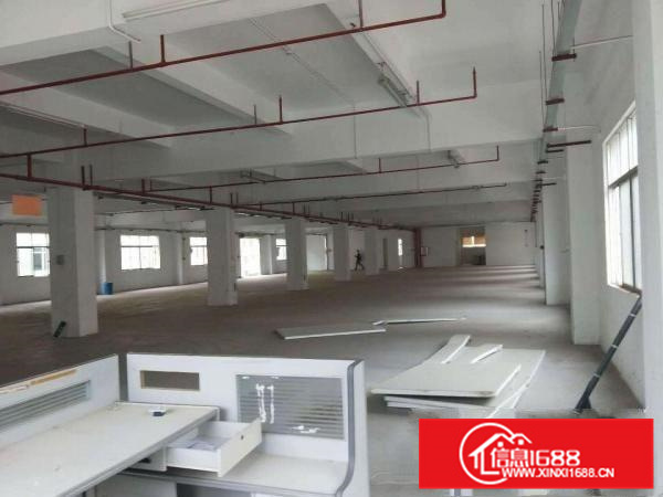 新圩4300平独栋厂房出租带消防喷淋，交通方便