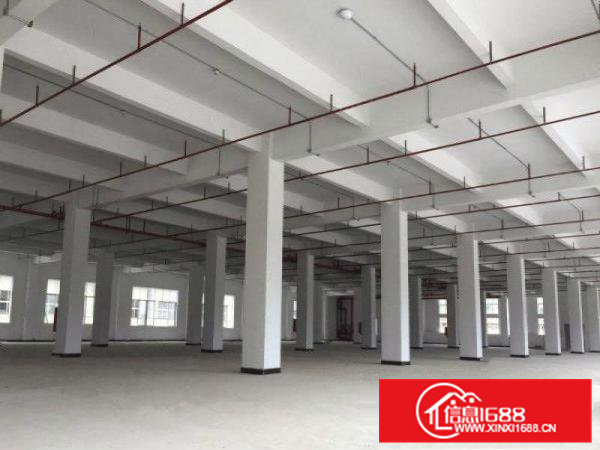 凤岗新出原房东!5000平方米!全新厂房出租!