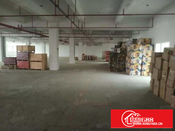 万江新出独门独院厂房6500方