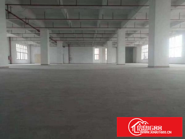 大朗新出空置厂房10000平，带消防喷淋，楼上高5.5米