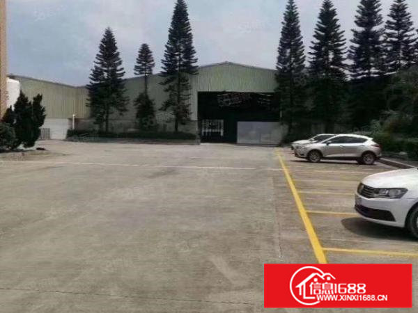 高埗下江城附近新出单一层钢构厂房4000平方价格实惠