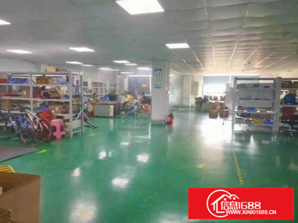 清溪原房东精装修厂房大小分租