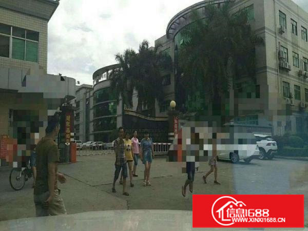 东莞凤岗雁田好招工独门独院厂房出租4000平